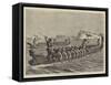 A New Zealand War Canoe Race-Godefroy Durand-Framed Stretched Canvas