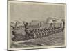 A New Zealand War Canoe Race-Godefroy Durand-Mounted Giclee Print