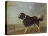 A Newfoundland Dog on a Seashore-Edmund Bristow-Stretched Canvas