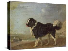 A Newfoundland Dog on a Seashore-Edmund Bristow-Stretched Canvas