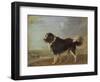 A Newfoundland Dog on a Seashore-Edmund Bristow-Framed Giclee Print