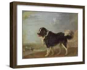 A Newfoundland Dog on a Seashore-Edmund Bristow-Framed Giclee Print