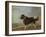 A Newfoundland Dog on a Seashore-Edmund Bristow-Framed Giclee Print