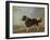 A Newfoundland Dog on a Seashore-Edmund Bristow-Framed Giclee Print