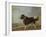 A Newfoundland Dog on a Seashore-Edmund Bristow-Framed Giclee Print