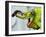 A Newly Born Jackson's Chameleon Rests on its Dad's Horns-null-Framed Premium Photographic Print