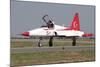 A Nf-5A of the The Turkish Stars Aerobatic Display Team-Stocktrek Images-Mounted Photographic Print