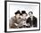 A Night at the Opera, Chico Marx, Harpo Marx, Groucho Marx, 1935-null-Framed Photo