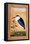 A Night Heron-null-Framed Stretched Canvas