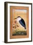 A Night Heron-null-Framed Giclee Print