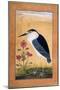 A Night Heron-null-Mounted Giclee Print