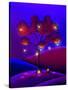 A Night Under The Stars-Cindy Thornton-Stretched Canvas