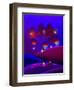 A Night Under The Stars-Cindy Thornton-Framed Art Print