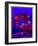 A Night Under The Stars-Cindy Thornton-Framed Art Print