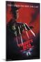 A Nightmare on Elm Street - Freddy's Dead-Trends International-Mounted Poster