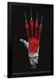 A Nightmare on Elm Street - Hand-Trends International-Framed Poster