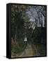 A Normandy Path-Claude Monet-Framed Stretched Canvas