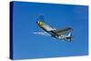 A North American P-51D Mustang in Flight Near Chino, California-null-Stretched Canvas