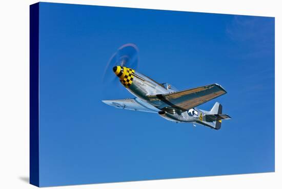 A North American P-51D Mustang in Flight Near Chino, California-null-Stretched Canvas