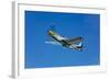 A North American P-51D Mustang in Flight Near Chino, California-null-Framed Photographic Print