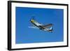 A North American P-51D Mustang in Flight Near Chino, California-null-Framed Photographic Print