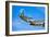 A North American P-51D Mustang in Flight Near Chino, California-null-Framed Photographic Print