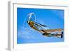 A North American P-51D Mustang in Flight Near Chino, California-null-Framed Photographic Print