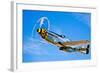 A North American P-51D Mustang in Flight Near Chino, California-null-Framed Photographic Print