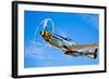 A North American P-51D Mustang in Flight Near Chino, California-null-Framed Photographic Print