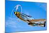 A North American P-51D Mustang in Flight Near Chino, California-null-Mounted Photographic Print