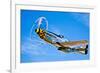 A North American P-51D Mustang in Flight Near Chino, California-null-Framed Photographic Print