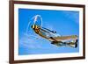 A North American P-51D Mustang in Flight Near Chino, California-null-Framed Photographic Print