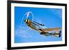 A North American P-51D Mustang in Flight Near Chino, California-null-Framed Photographic Print