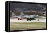 A Northrop F-5E Tiger of the Swiss Air Force-null-Framed Stretched Canvas