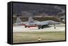 A Northrop F-5E Tiger of the Swiss Air Force-null-Framed Stretched Canvas