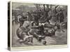 A Novel Entertainment an Obstacle Race on the Ice at Hamburg-Gordon Frederick Browne-Stretched Canvas