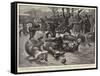 A Novel Entertainment an Obstacle Race on the Ice at Hamburg-Gordon Frederick Browne-Framed Stretched Canvas