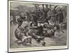 A Novel Entertainment an Obstacle Race on the Ice at Hamburg-Gordon Frederick Browne-Mounted Giclee Print