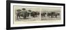 A Novel Experiment, Buffalo Farming in Nebraska-null-Framed Giclee Print