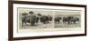 A Novel Experiment, Buffalo Farming in Nebraska-null-Framed Premium Giclee Print