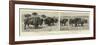 A Novel Experiment, Buffalo Farming in Nebraska-null-Framed Giclee Print