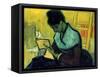 A Novel Reader-Vincent van Gogh-Framed Stretched Canvas