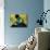 A Novel Reader-Vincent van Gogh-Mounted Giclee Print displayed on a wall