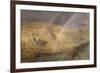 A November Rainbow, Dolwyddelan Valley, November 11 1866, 1 P.M. 1866, 1866-Alfred William Hunt-Framed Giclee Print