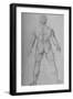 'A Nude Man seen from the Back', c1480 (1945)-Leonardo Da Vinci-Framed Giclee Print