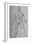 'A Nude Man seen from the Back', c1480 (1945)-Leonardo Da Vinci-Framed Giclee Print