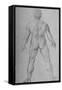 'A Nude Man seen from the Back', c1480 (1945)-Leonardo Da Vinci-Framed Stretched Canvas