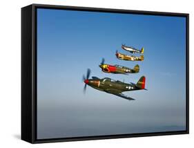 A P-36 Kingcobra, Two Curtiss P-40N Warhawks, and a P-51D Mustang in Flight-Stocktrek Images-Framed Stretched Canvas