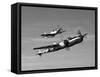 A P-38 Lightning and P-51D Mustang in Flight-Stocktrek Images-Framed Stretched Canvas