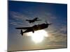 A P-38 Lightning and P-51D Mustang in Flight-Stocktrek Images-Mounted Photographic Print